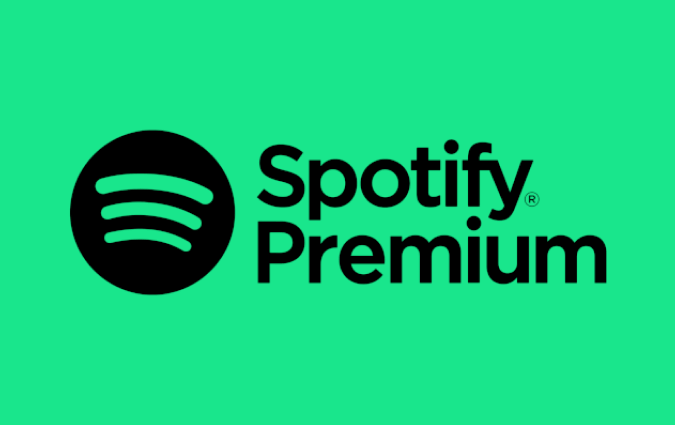 Carte cadeau Spotify Premium 1 mois